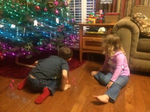 20141129-ornaments-301