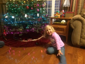 20141129-ornaments-303