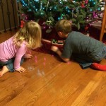 20141129-ornaments-305