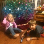 20141129-ornaments-308