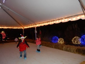 20141221-santatrain1-57