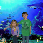 8834030_20150325_140510_orig