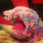 20150103-sleepingbagmovienight-16