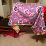 20150103-sleepingbagmovienight-24