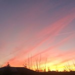 20150106-monopoly-06