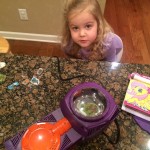 20150113-shrinkydinks-08