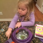 20150113-shrinkydinks-09