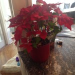 20150120-briansphotoessay-03