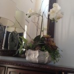 20150120-briansphotoessay-10