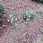 20150124-saturday-06