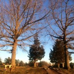20150124-saturday2-3