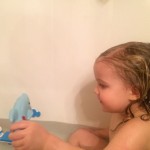 20150204-kbathtub-2