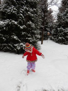 20150224-snowday2-11