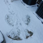 20150224-snowday2-18