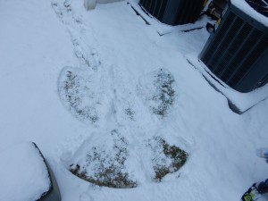 20150224-snowday2-18