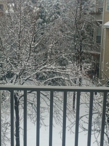 20150226-snowdayduplo-01