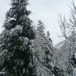 20150226-snowdayduplo-03