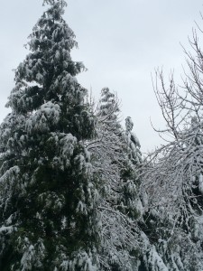 20150226-snowdayduplo-03