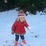 20150227-evenmoresnowday-14