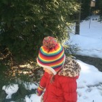 20150227-evenmoresnowday-16