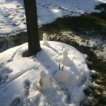 20150227-evenmoresnowday-20