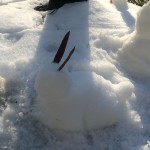 20150227-evenmoresnowday-21
