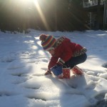 20150227-evenmoresnowday-25