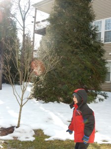 20150227-evenmoresnowday2-20