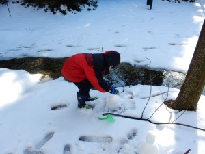 20150227-evenmoresnowday2-29