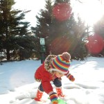 20150227-evenmoresnowday2-30