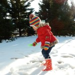 20150227-evenmoresnowday2-31