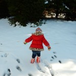 20150227-evenmoresnowday2-35