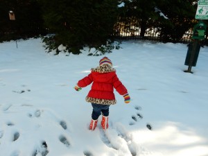 20150227-evenmoresnowday2-35