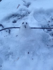 20150227-evenmoresnowday3-01