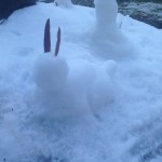 20150227-evenmoresnowday3-03