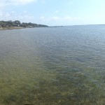 20150324-beachtripday2-202