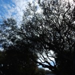 20150325-beachtripday3-2036