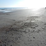 20150325-beachtripday3-2116