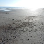 20150325-beachtripday3-2117