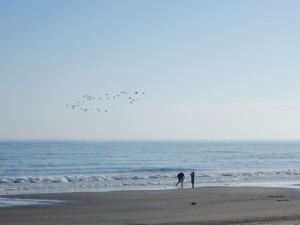 20150325-beachtripday3-2133