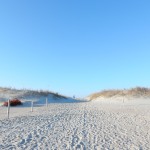 20150325-beachtripday3-2141