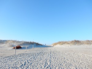 20150325-beachtripday3-2141