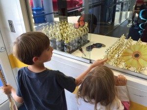 20150530-hockeytrophy-19
