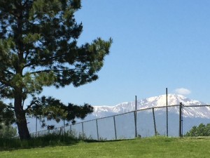 20150619-coloradoday6-14