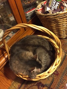 20150618-coloradoday5a-67