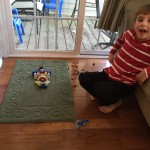 20150502-bangrybirds-3