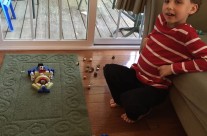 Brian’s Angry Birds