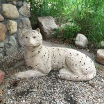 20150614-coloradoday1-050