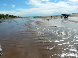 20150615-coloradoday2b-47