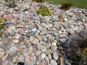 20150616-coloradoday3b-10